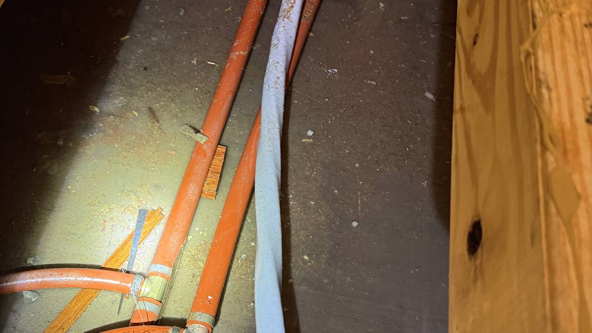 Crawl space moisture inspection under a Lowcountry home
