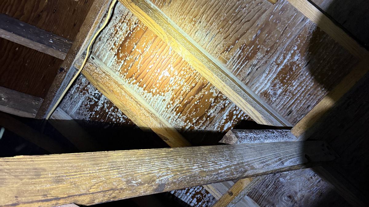 Water-damaged subfloor and joists exposed after a burst pipe in Charleston